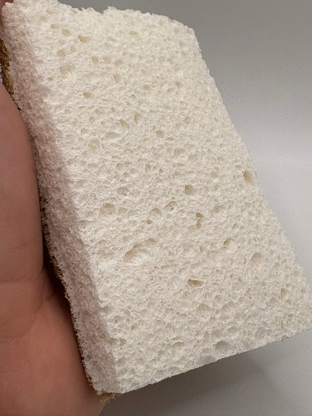 Loofah and Wood Cellulose Sponge